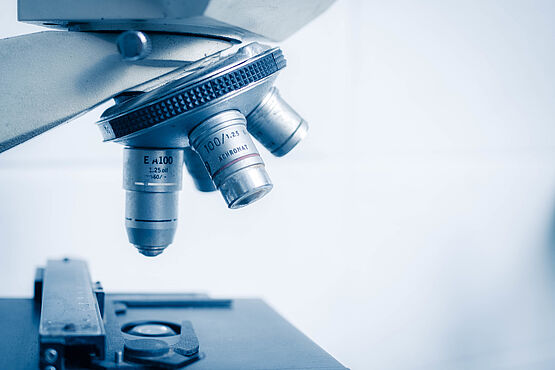  Analysis of a sample under the microscope