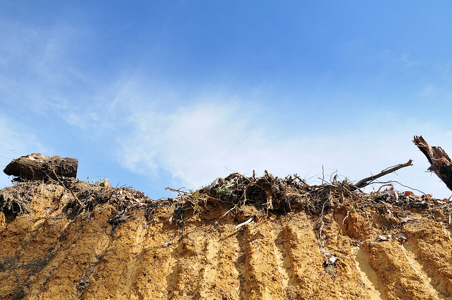 Flächenrecycling als Teil des Flächenmanagements