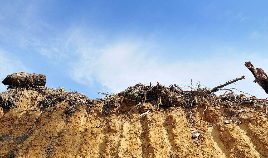 Flächenrecycling als Teil des Flächenmanagements