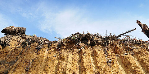 Flächenrecycling als Teil des Flächenmanagements