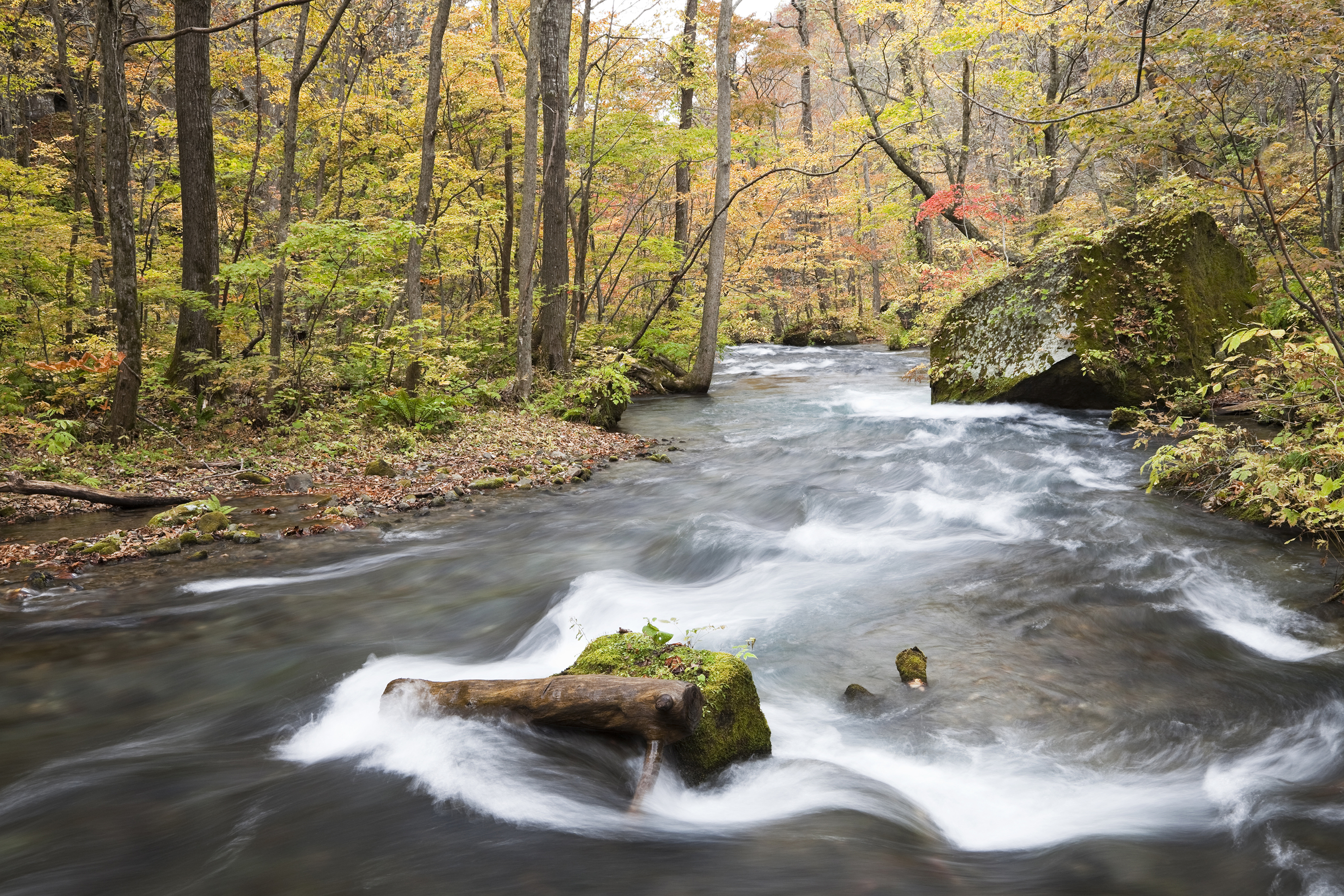 Water, tested by WESSLING through groundwater analysis, rushes through a stream in the forest
